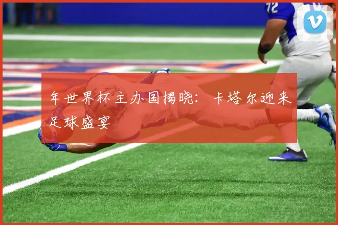 年世界杯主办国揭晓：卡塔尔迎来足球盛宴